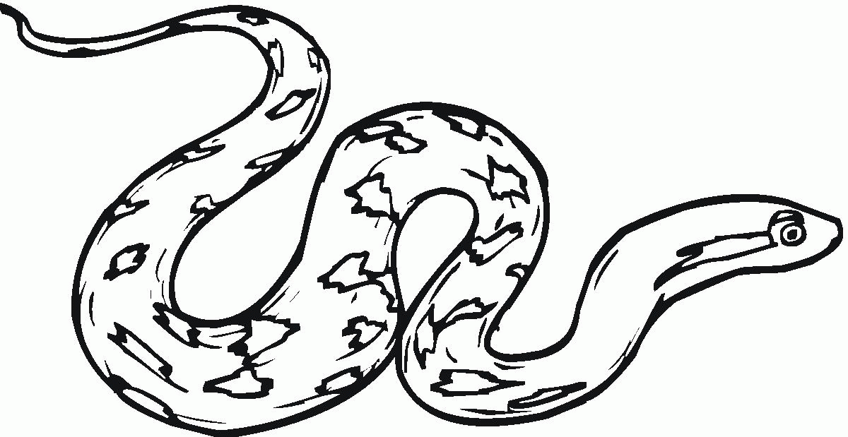 Rattlesnake Coloring Pages - Coloring Home