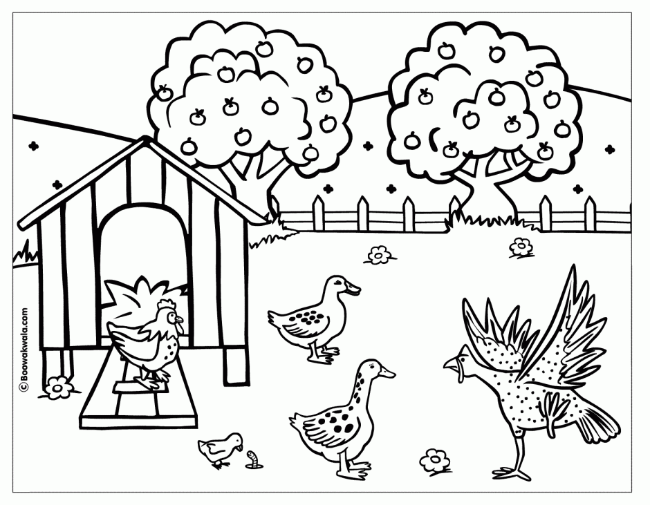 The Little Red Hen Coloring Pages Printable Coloring Sheet 217471 