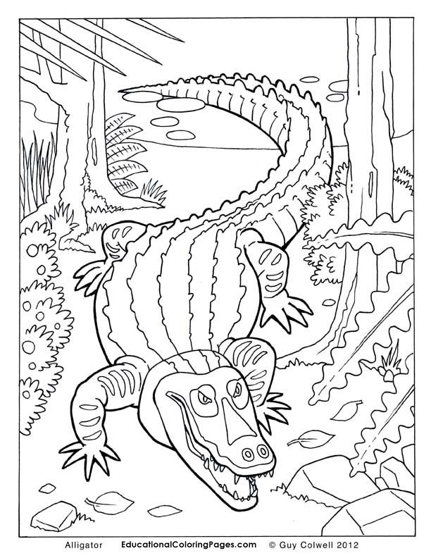 animal coloring pages to print | Animal Coloring Pages for Kids