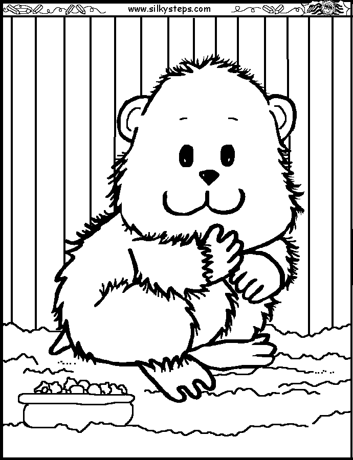 Hamster colouring picture