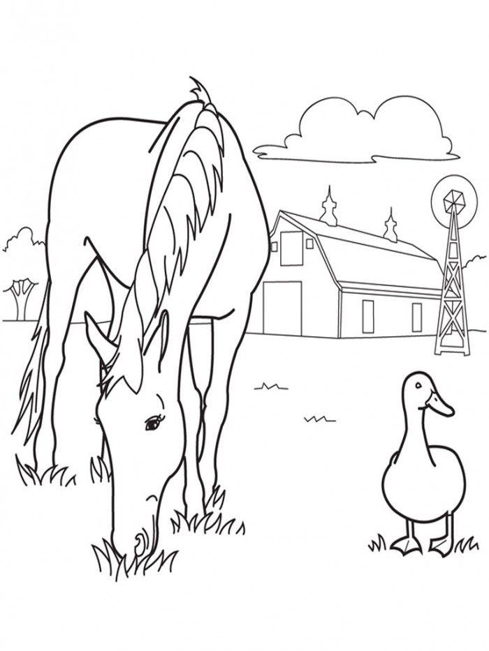 Free Horse Jumping Coloring Pages