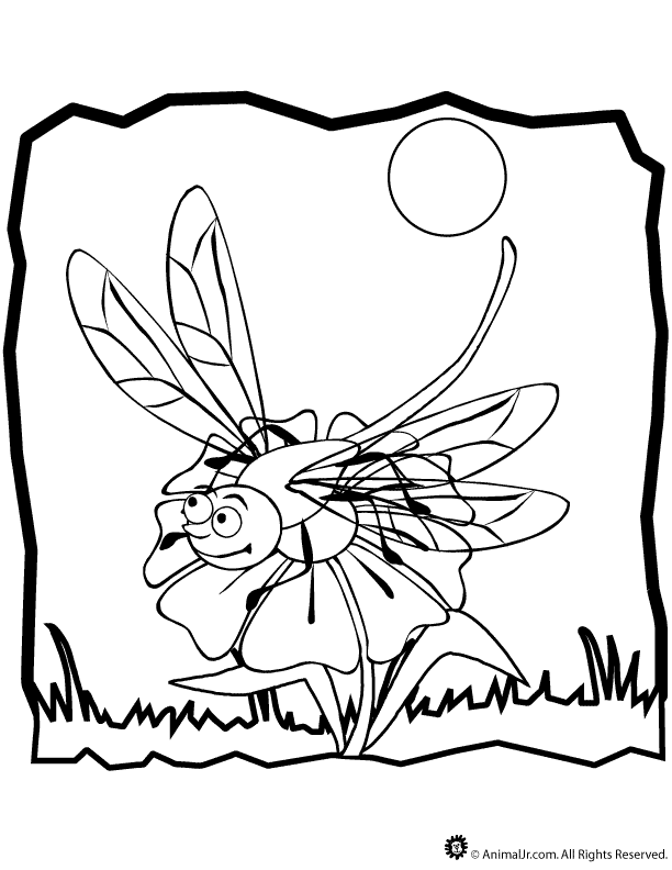 butterfly dragonfly Colouring Pages