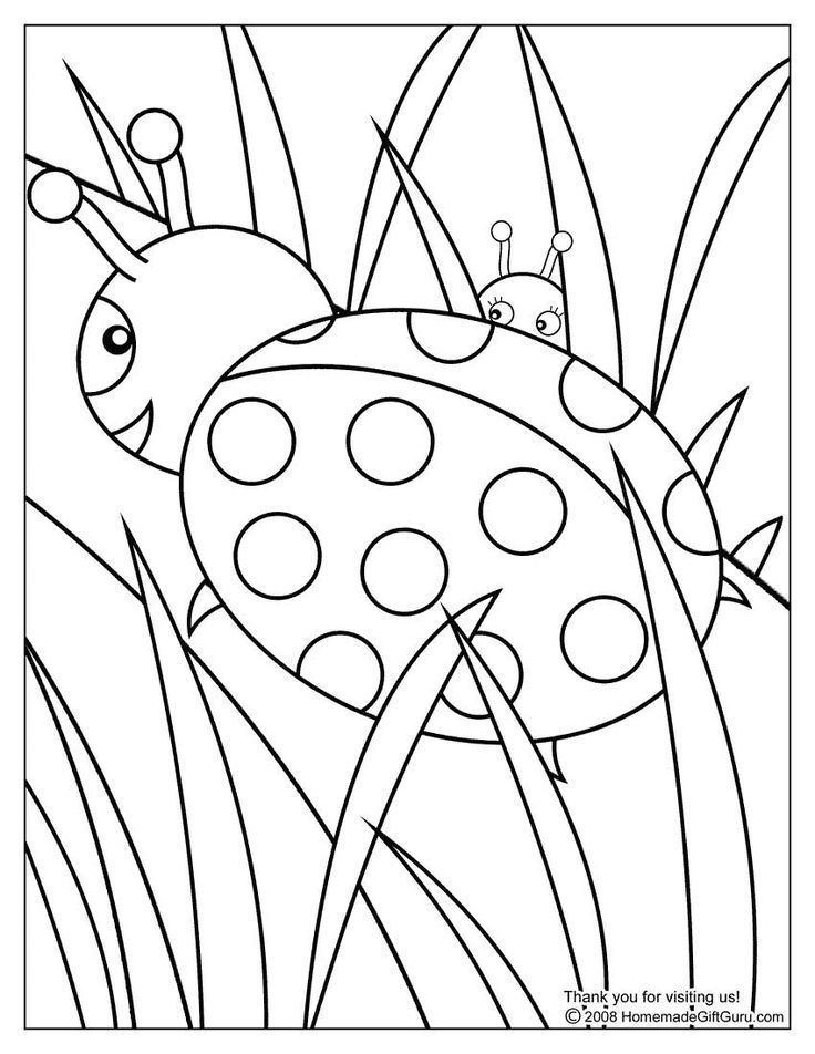 Ladybug | Coloring Pages