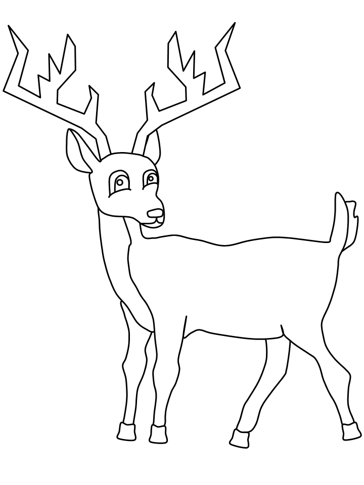 Deer Coloring Pages Deer Coloring Book Lowrider Car Pictures