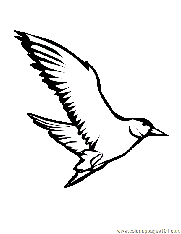 Coloring Pages Flying Eagle (Birds > Eagle) - free printable 