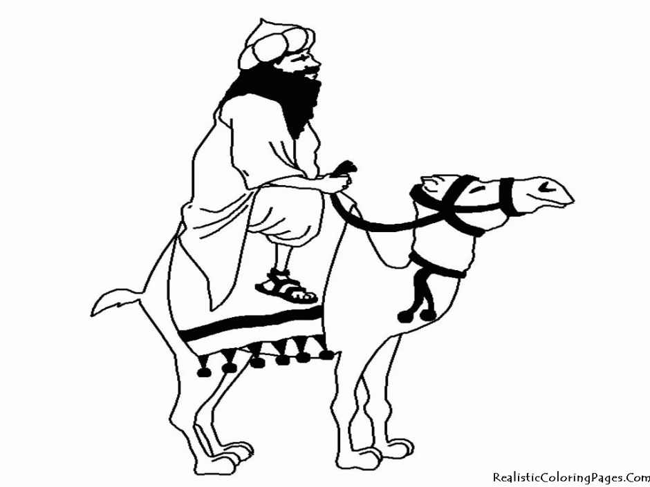 Camel Coloring Pages Kids Extra Coloring Page 279994 Camel 