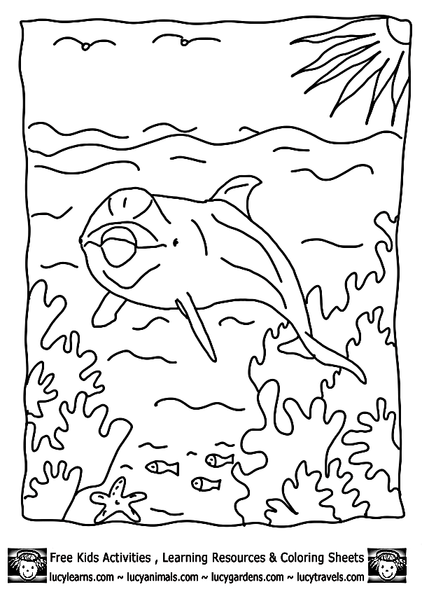 mama and baby dolphin coloring pages - photo #28