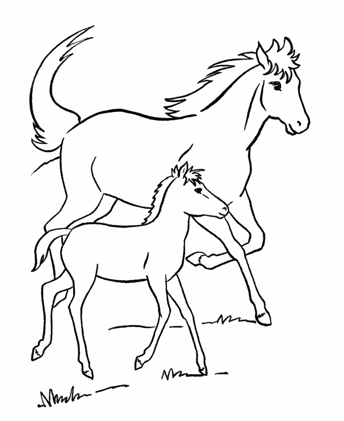 horse outline printable for kids - Coloring Point - Coloring Point