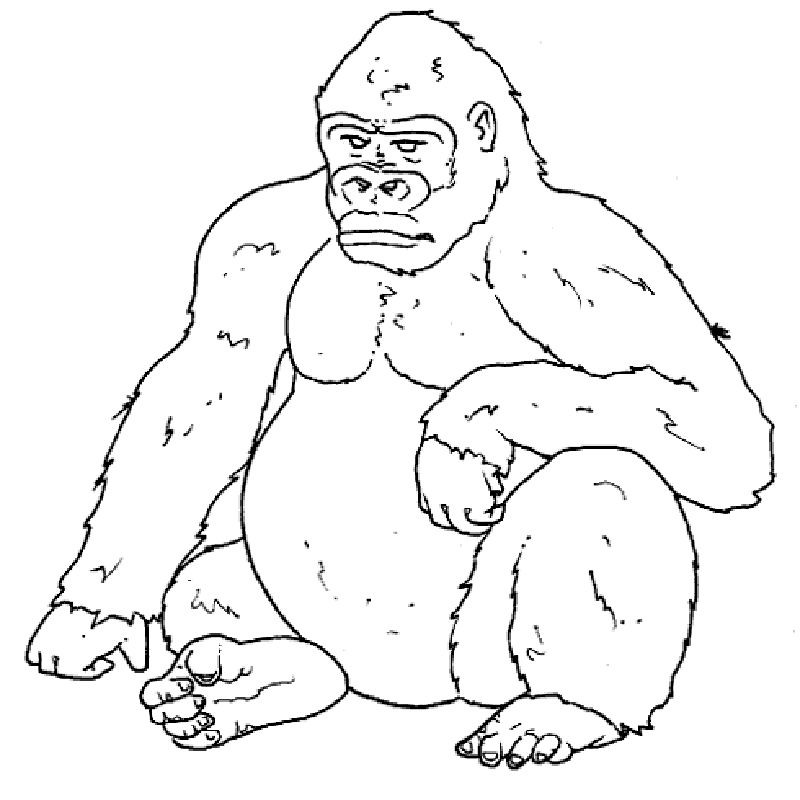 Cute Gorilla Coloring Page Images & Pictures - Becuo