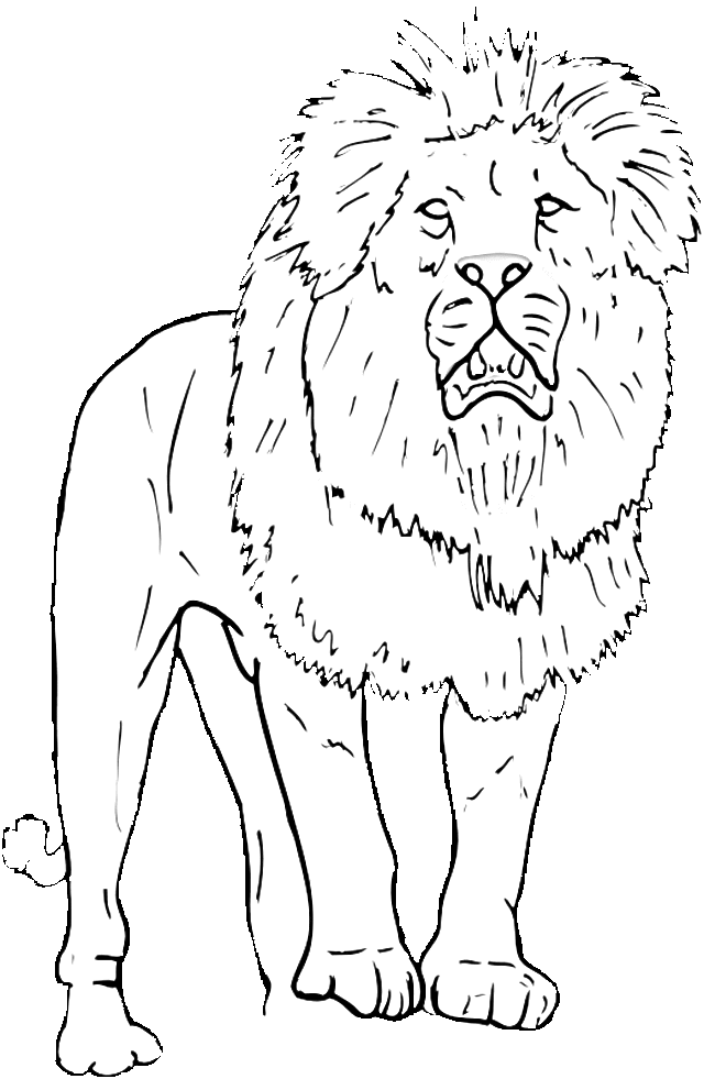 Wild Animals Coloring Pages Coloring Home
