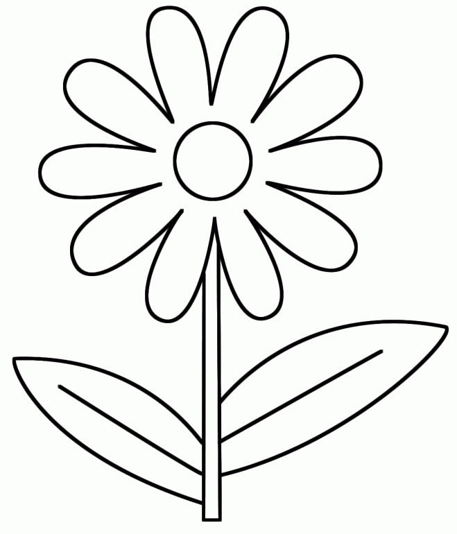 Coloring Pages Of Daisy Flower | Online Coloring Pages