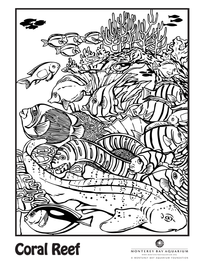 Coral Reef Coloring Pages For Kids - Coloring Home