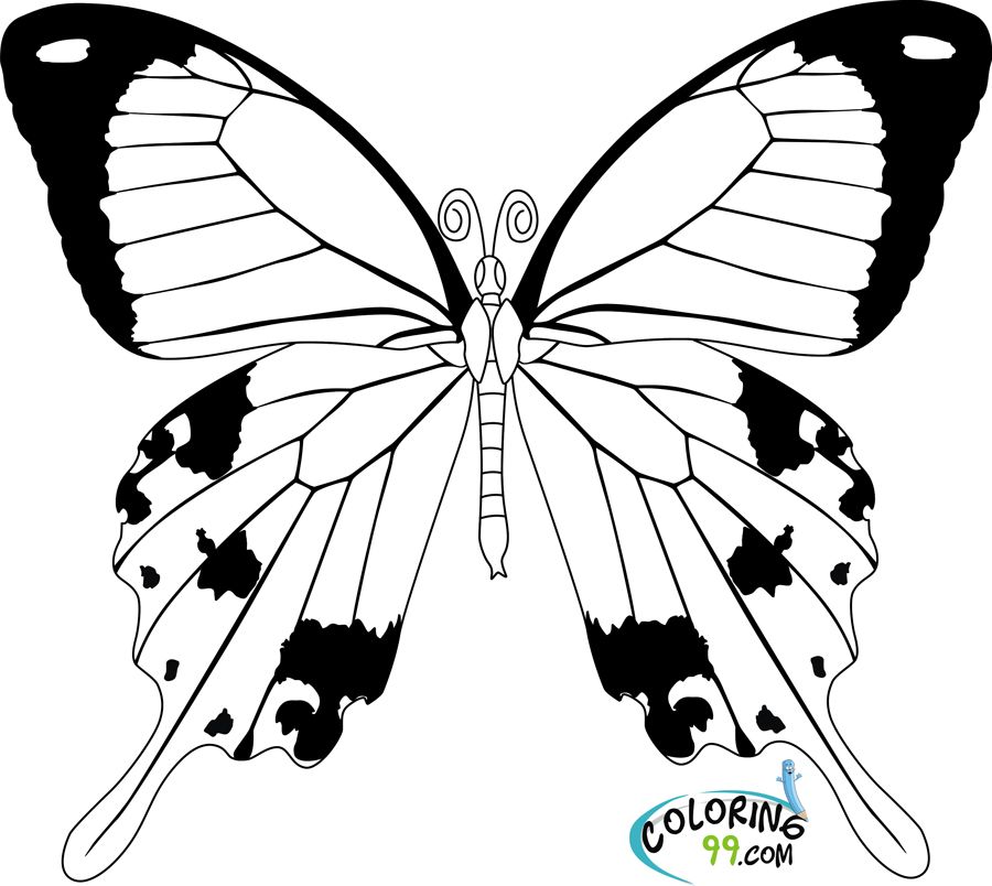 Butterfly Coloring Pages | Coloring99.