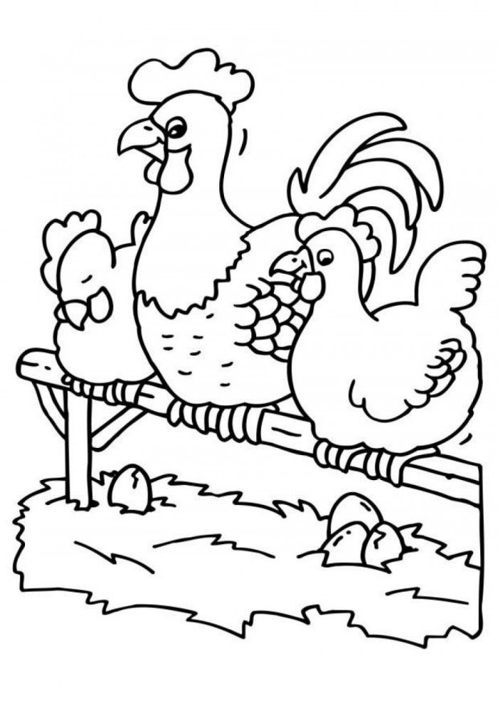 Chicken And Rooster Coloring Pages