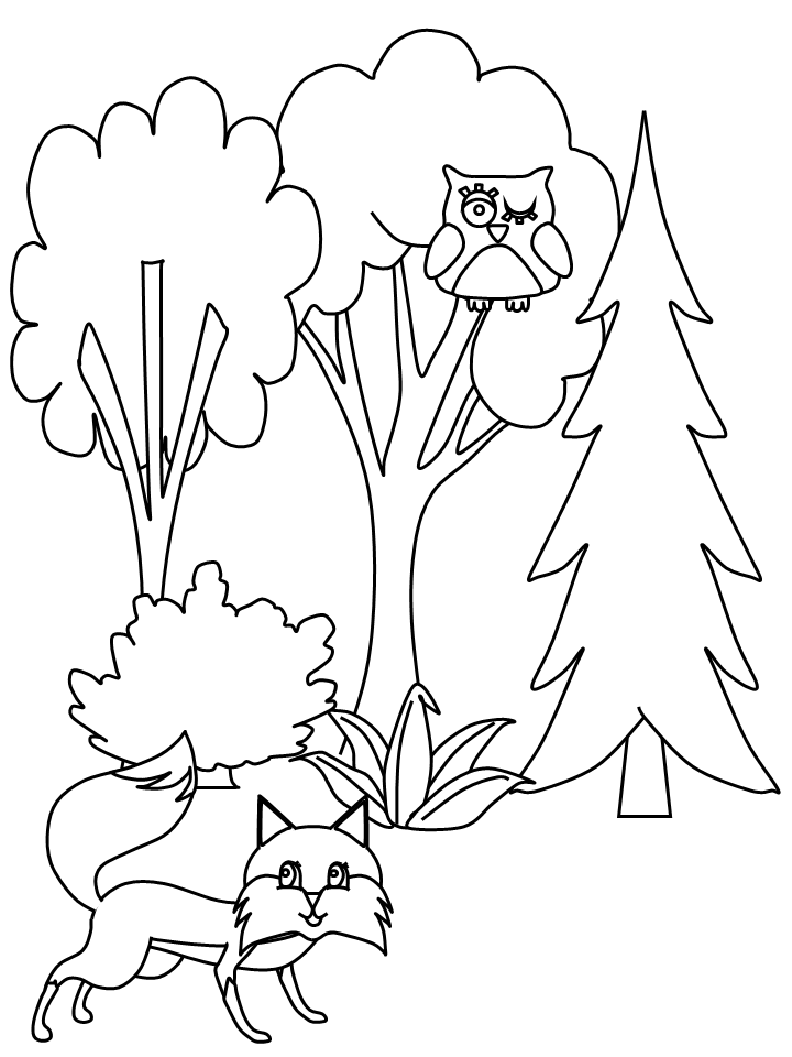 tree16-trees-coloring-pages-coloring-book-coloring-home