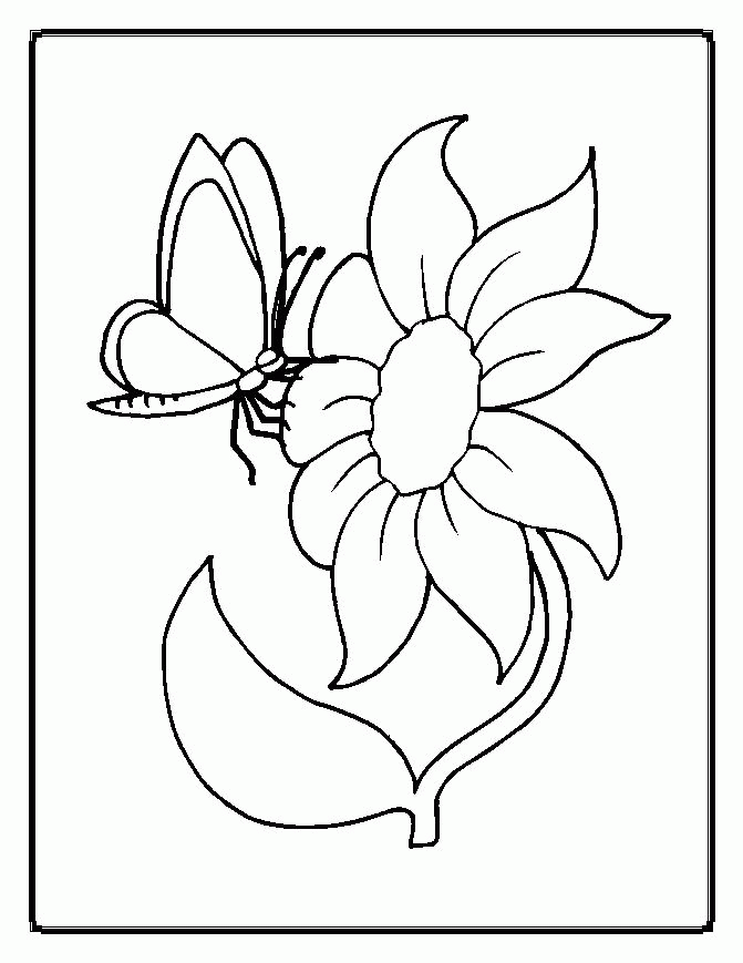 Butterfly On Flower Coloring Page Images & Pictures - Becuo