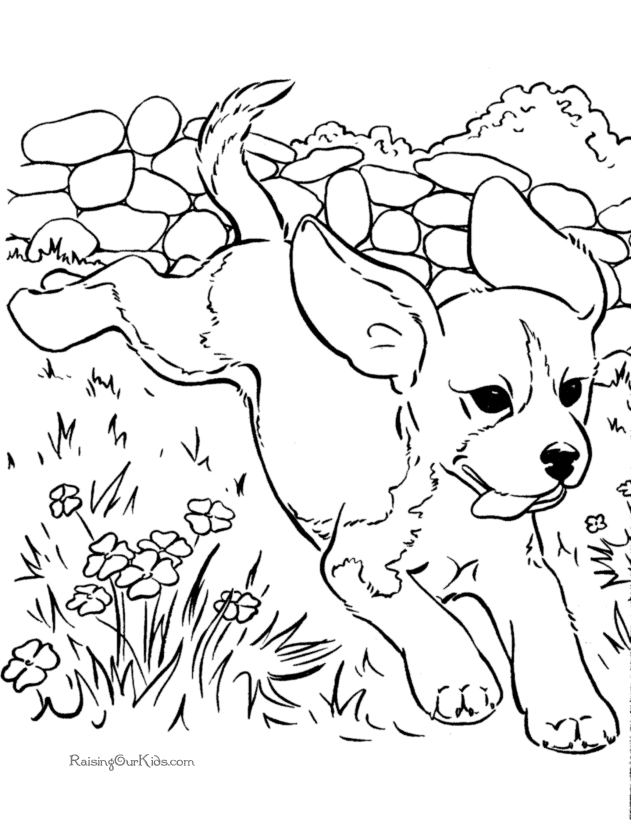 Coloring Pages Of Realistic Dogs Printable