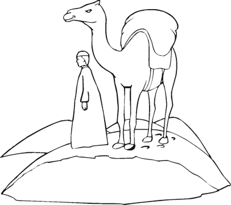 Free Printable Camel Coloring Pages | Coloring