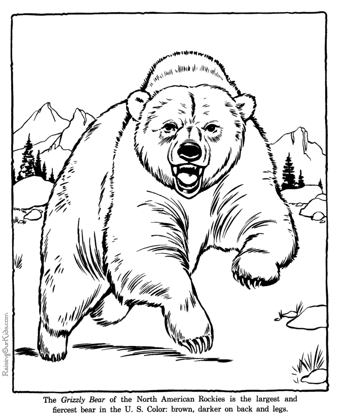 Black Bear Coloring Pages Coloring Home