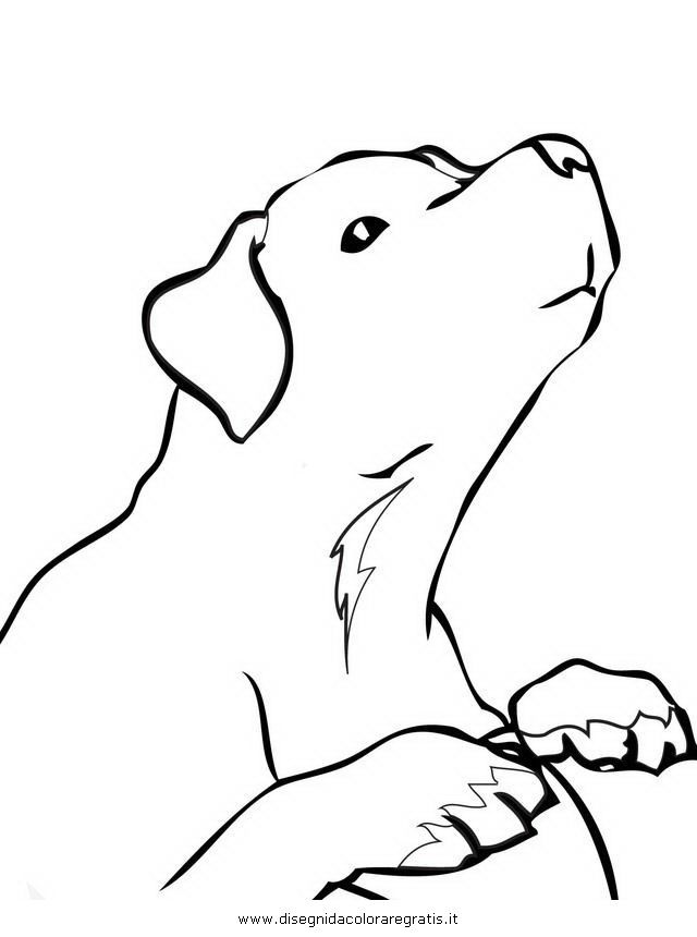 n retriever Colouring Pages
