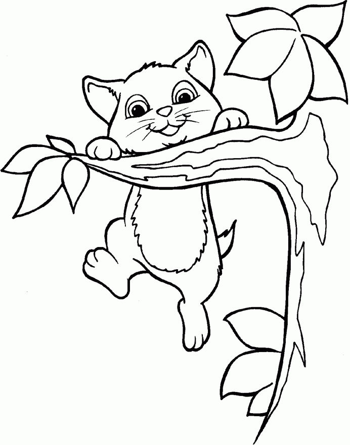 Cat On A Tree Branch Coloring Pages - Tree Coloring Pages : Free 