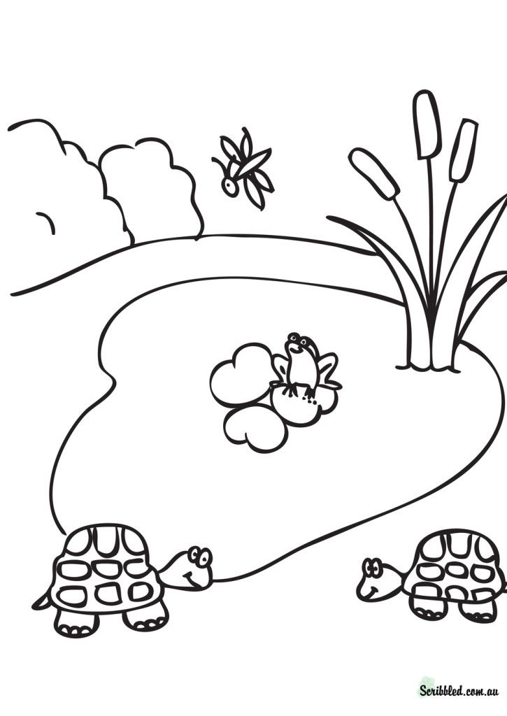 pond_coloring_pages_printable- 