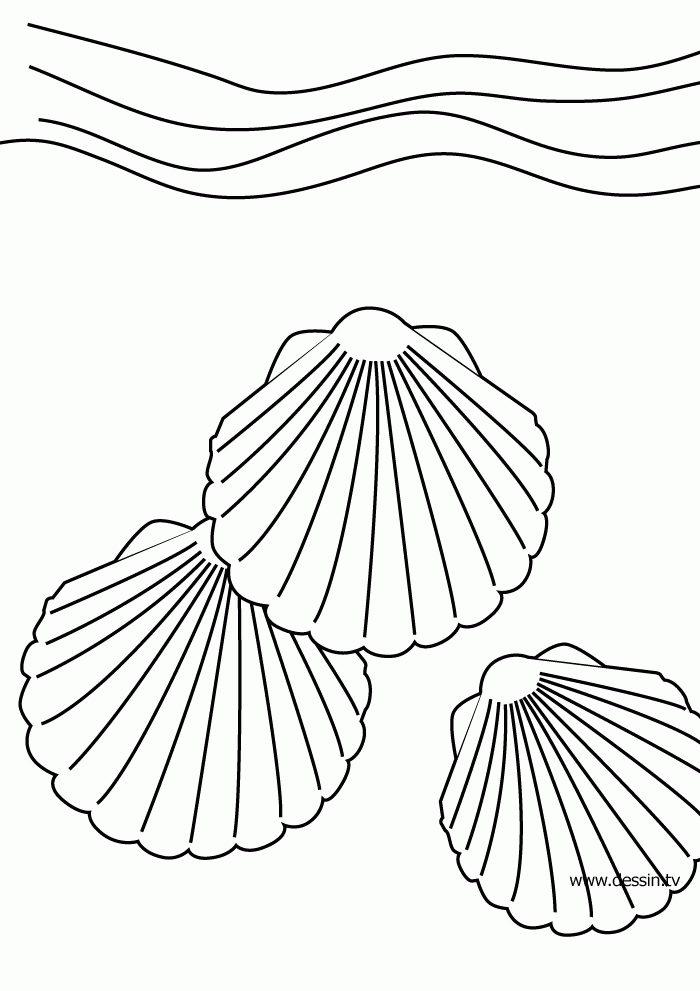all sea shells Colouring Pages (page 2)