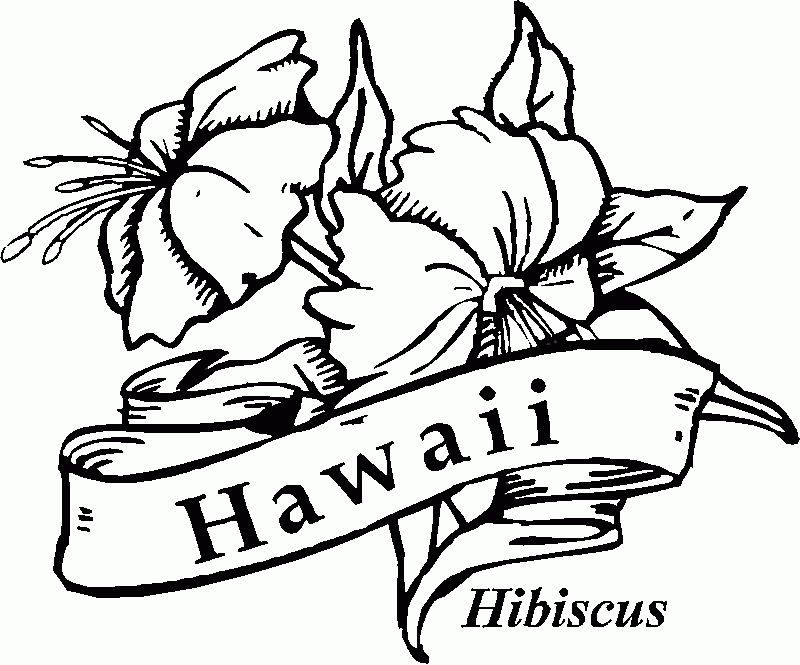 Hawaiian Luau Coloring Pages Coloring Home