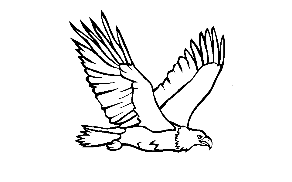 Cute Eagle Coloring Pages : Printable Coloring Sheet ~ Anbu - Coloring Home