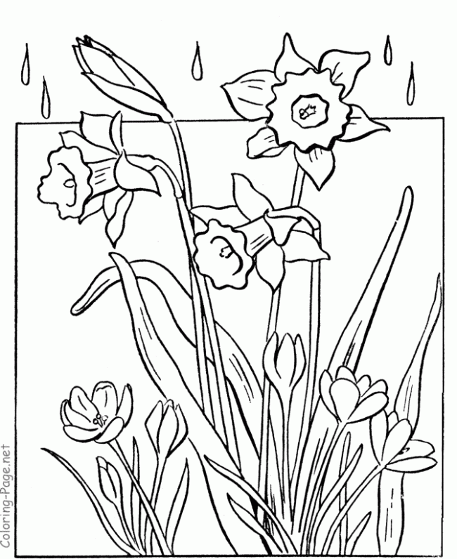 spring-coloring-pages-for-adults-coloring-home