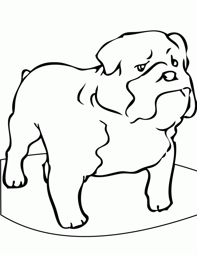 Printable Bulldog Coloring Pages Coloring Home
