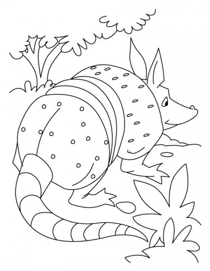 Anteater Dangerous Coloring Pages