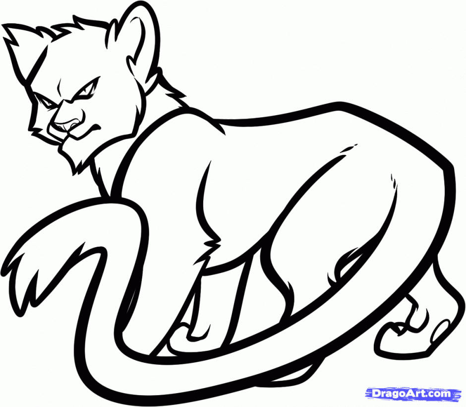 Wallpapers Warrior Cats Coloring Pages Their Cer Rv Antarctica 