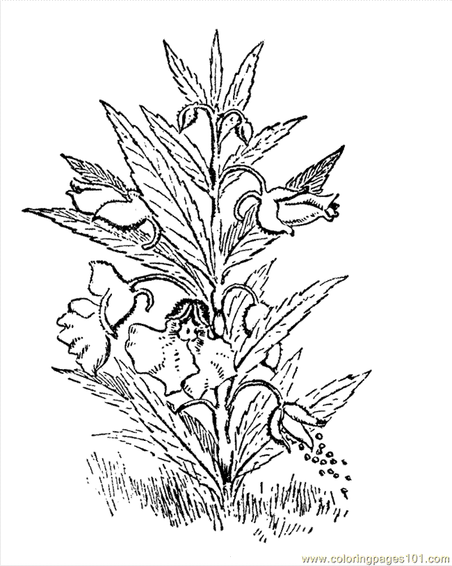 Flower Printable Coloring Pages | Free coloring pages