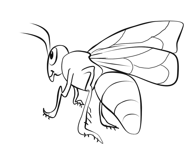 honey bee coloring page printable | Online Coloring Pages