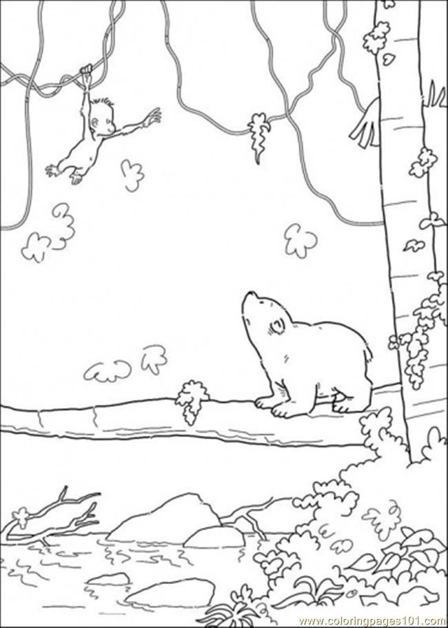 Coloring Pages Polar Bear Is Looking At The Monkey (Cartoons 