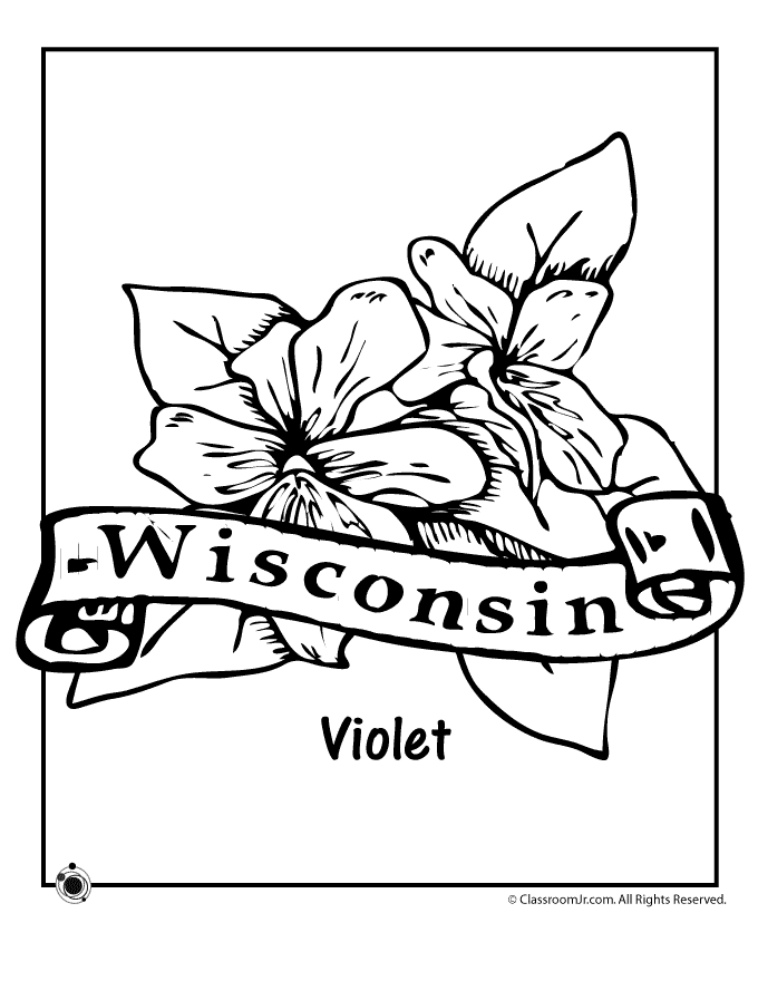 State Flowers Coloring Pages 301 | Free Printable Coloring Pages