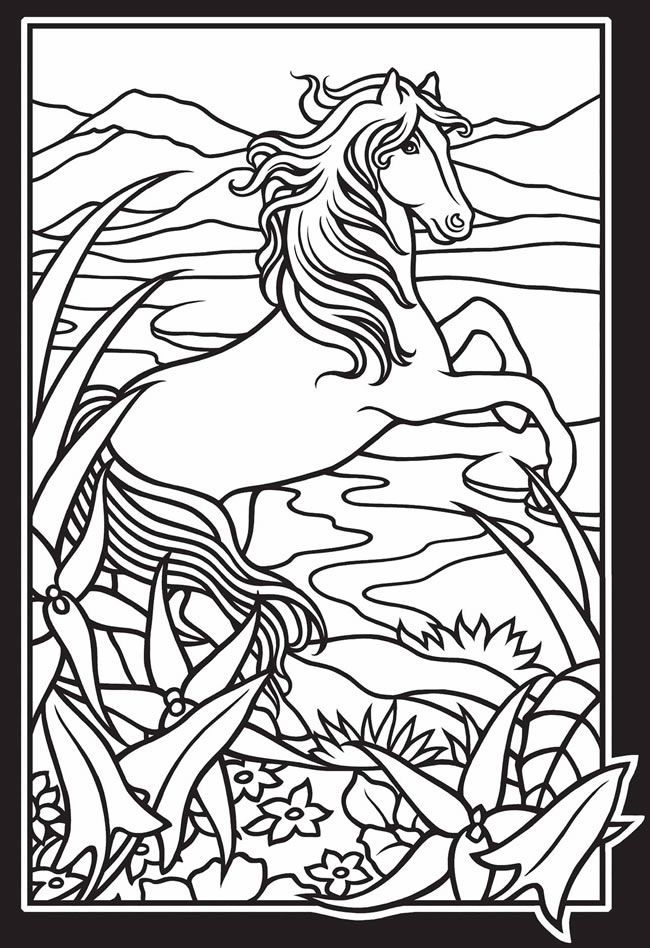 Free Printable Wild Horse Coloring Pages