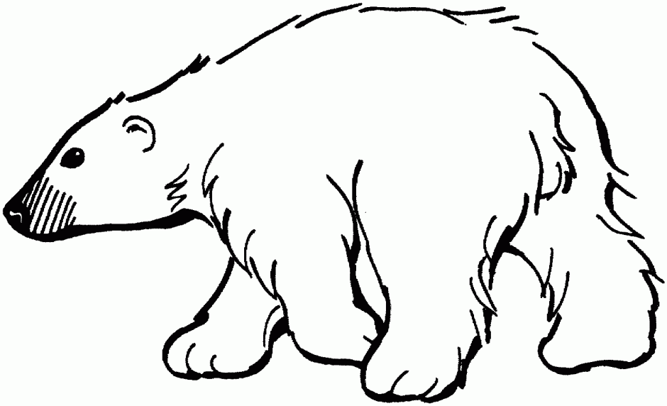 Cartoon Clipart Of A Black And White An Exclaiming Polar Bear 