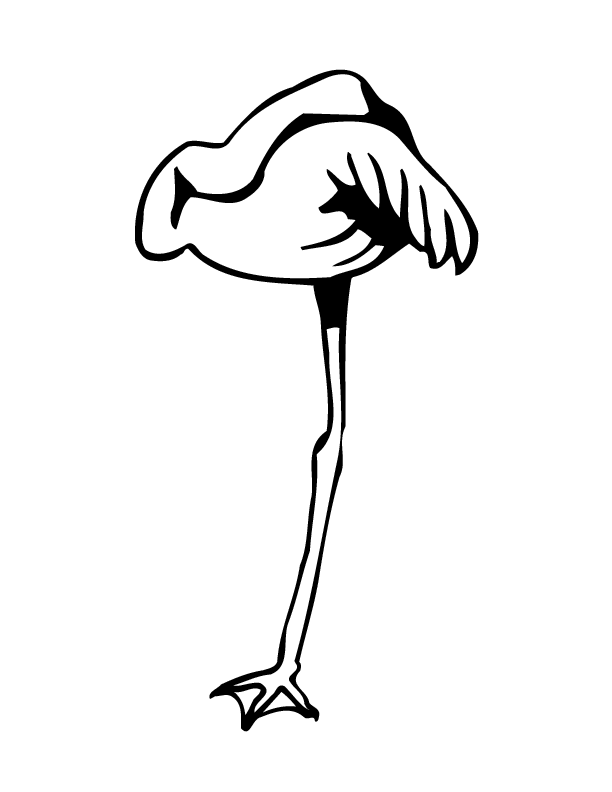 flamingo 0127 printable coloring in pages for kids - number 2410 