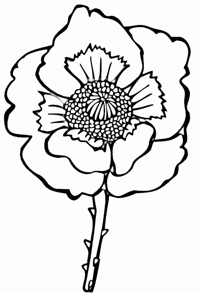 Easy Flower Poppy Coloring Page - deColoring