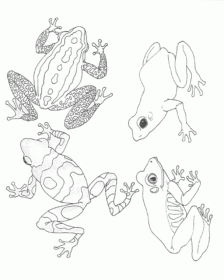 clipartist info boy and turtle coloring book colouring svg