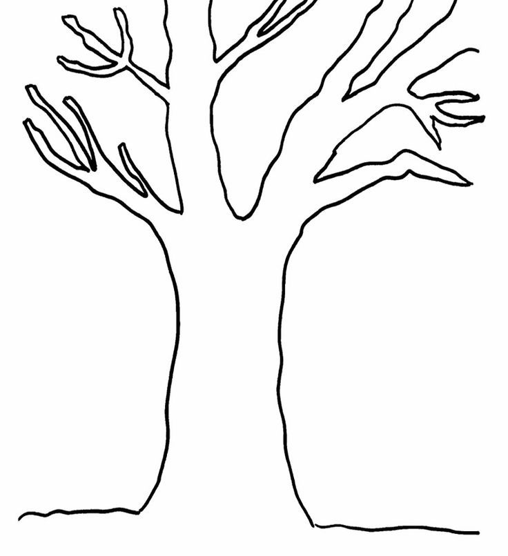 Tree Without Leaves Coloring Page - Coloring Home