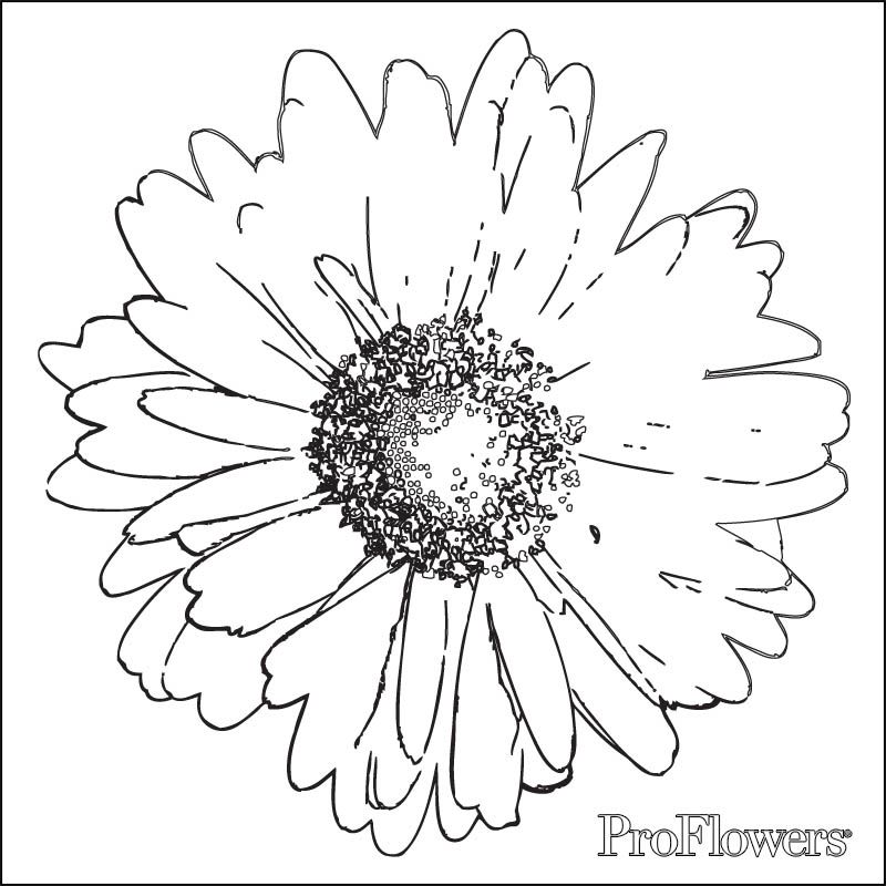 Daisy-coloring-11 | Free Coloring Page Site