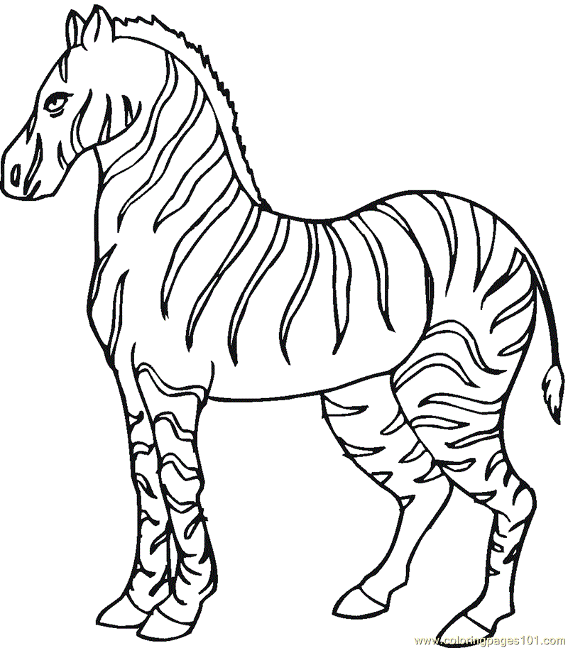 zebra-coloring-pages-free-printable-kids-coloring-pages