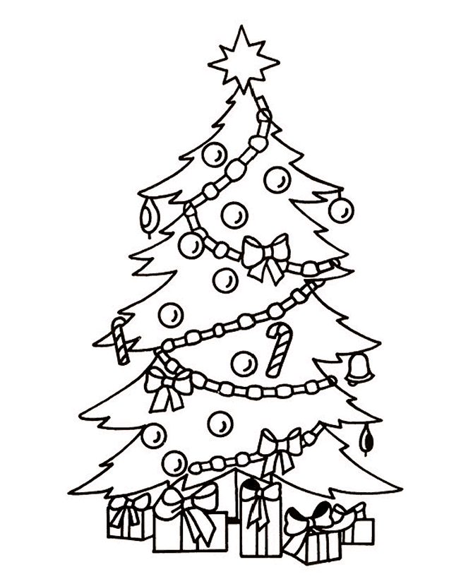 conifer trees Colouring Pages (page 2)