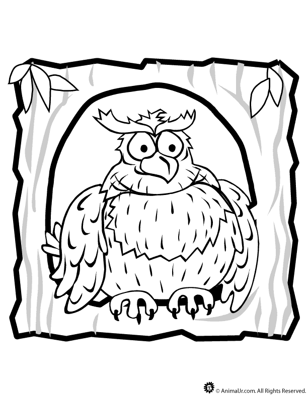 bird clipart image flight outline drawing coloring page - FunPict.com