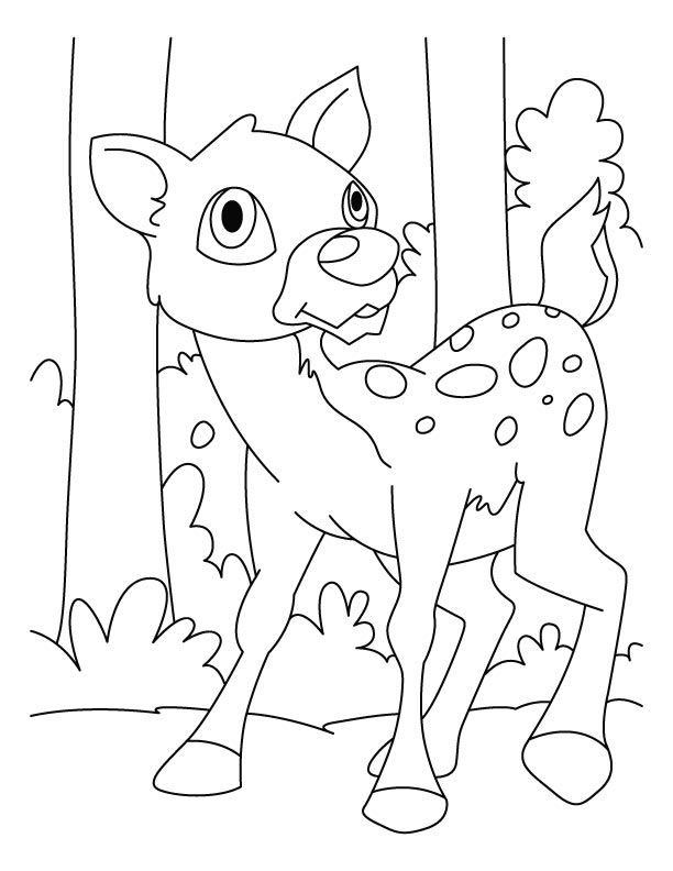 Fearful deer coloring pages | Download Free Fearful deer coloring 