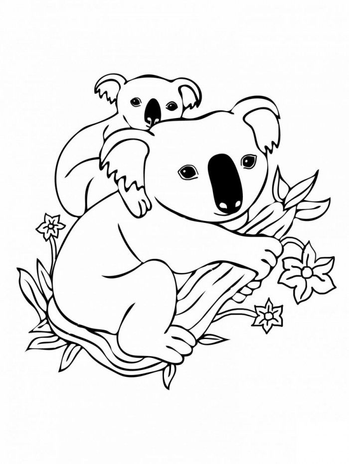 Koala Coloring Pages To Print