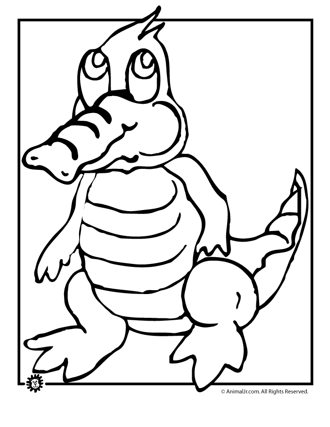 baby crocodile Colouring Pages